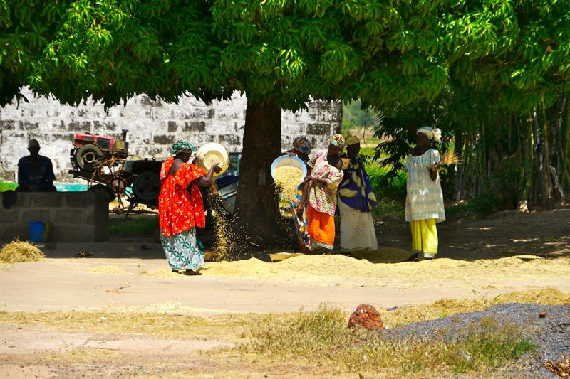 Gambia